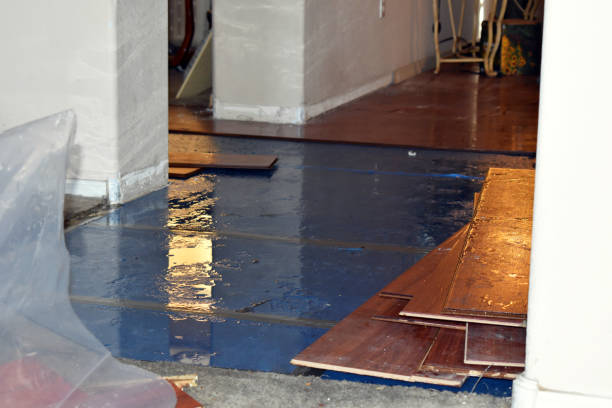 Professional Water Damage Repair technician working in Levant, ME